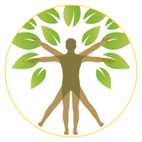 2025Holiday-FCSB Logo